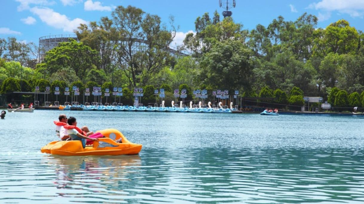 Place Bosque de Chapultepec