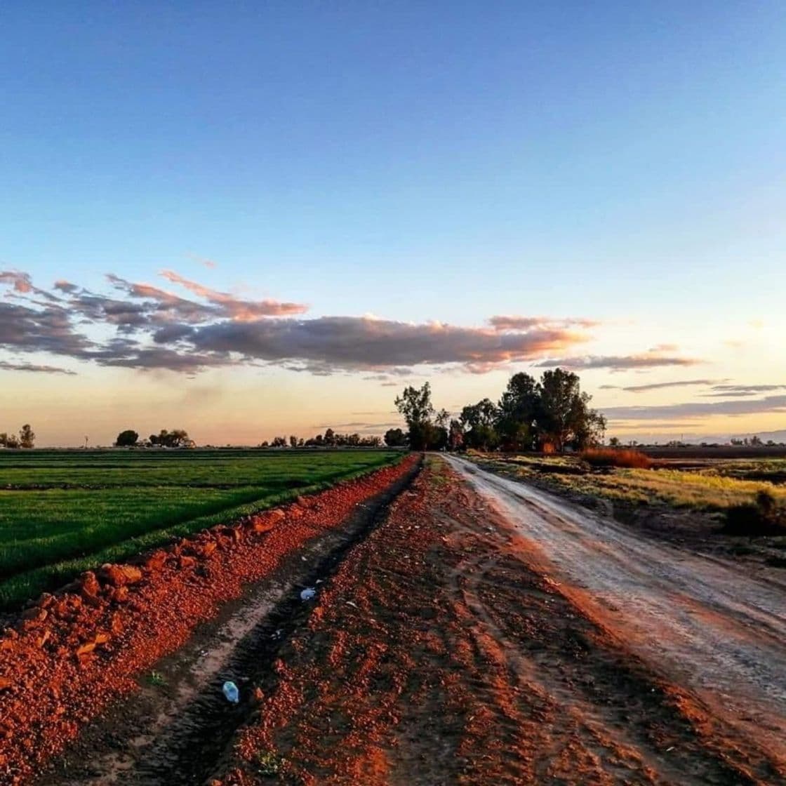 Lugar Valle de Mexicali