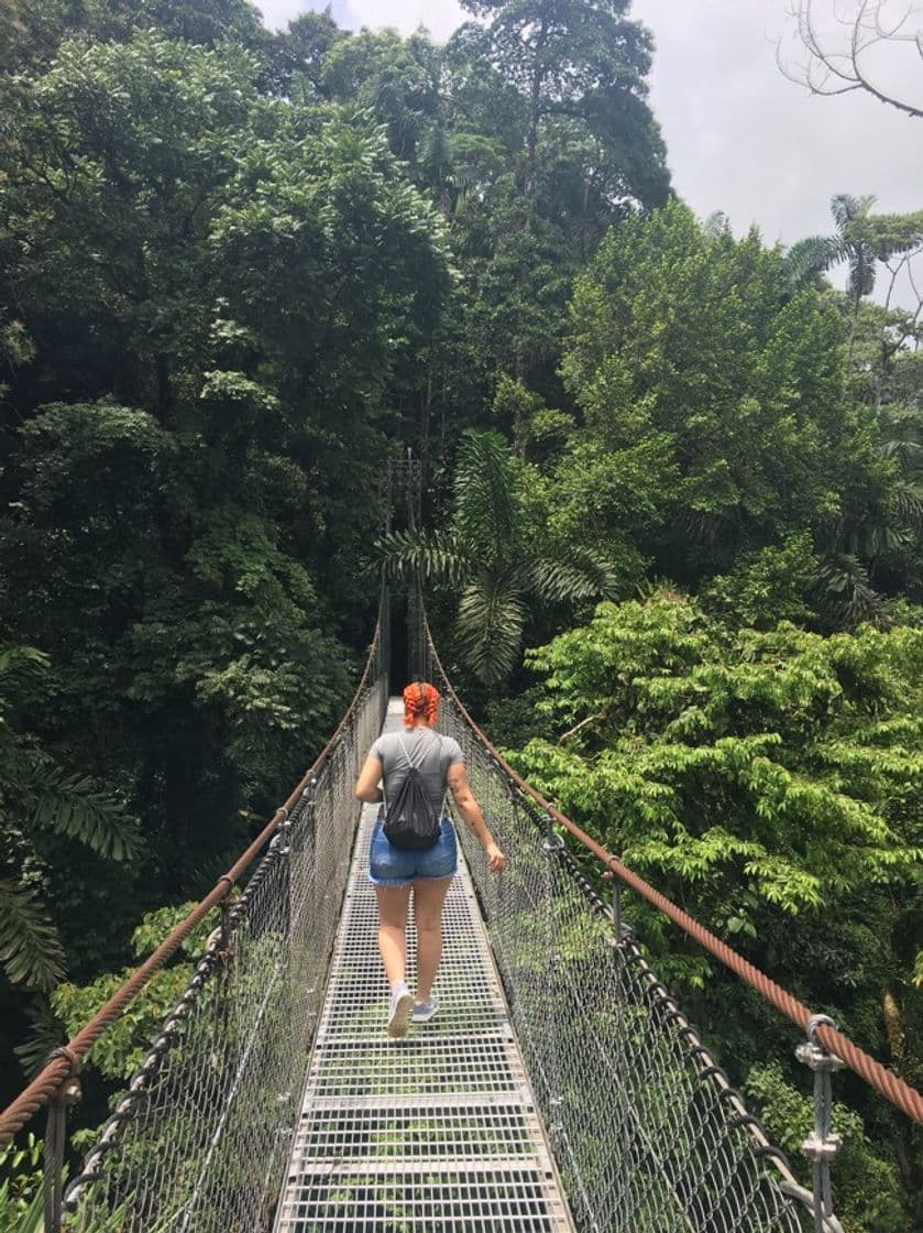 Lugar Mistico Arenal Hanging Bridges Park