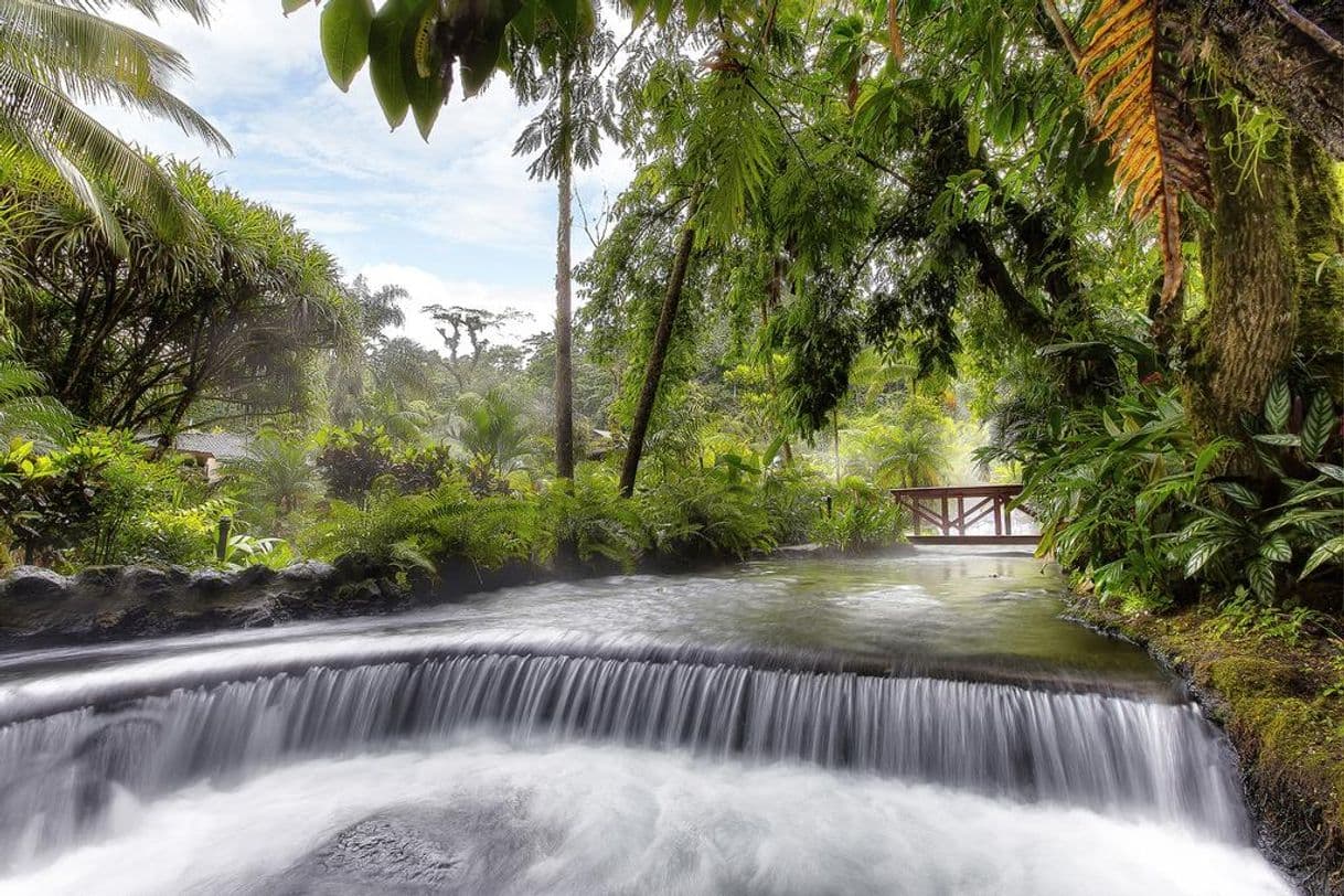 Lugar Tabacon Thermal Resort & Spa