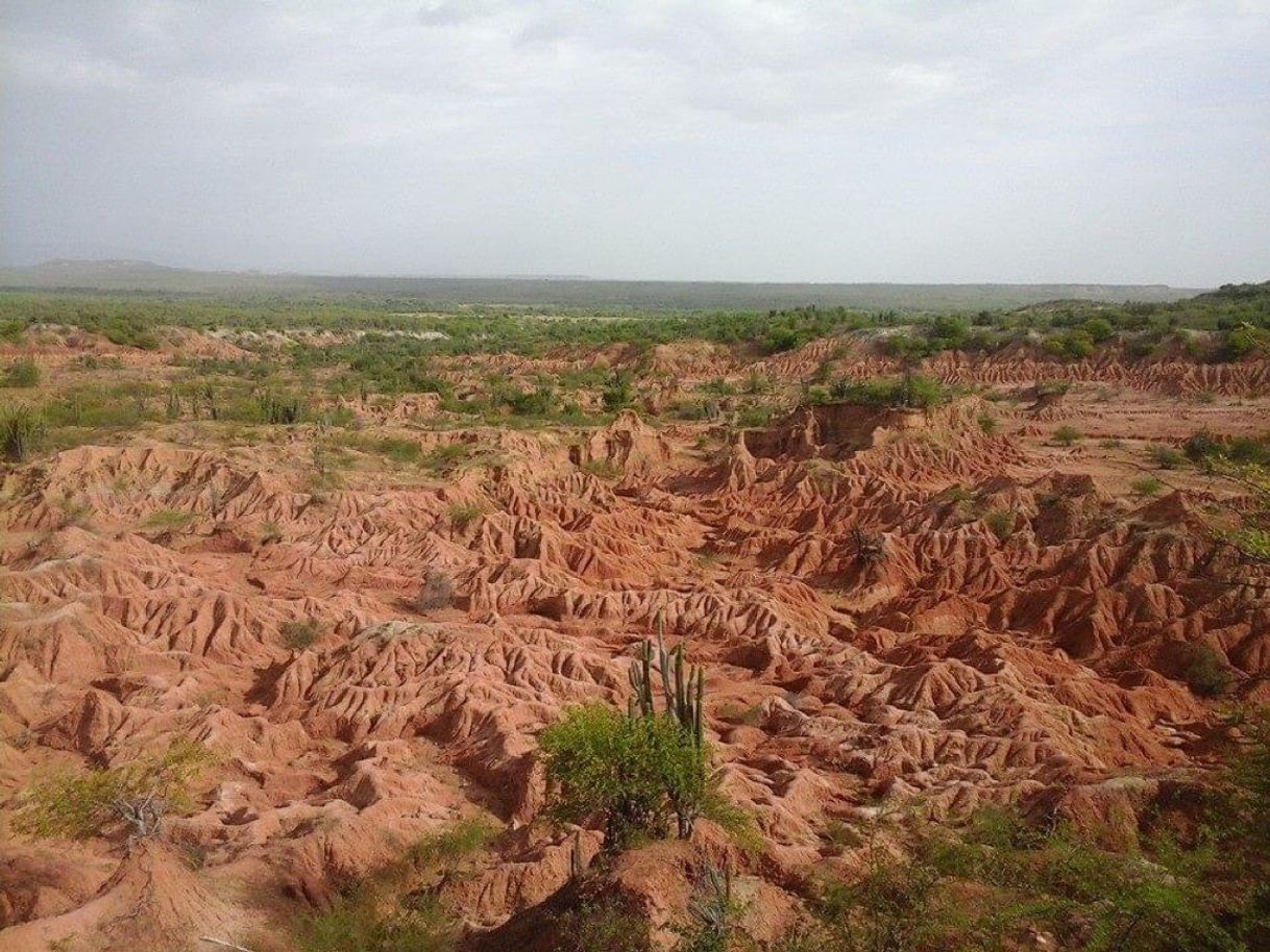 Lugar Desierto de la Tatacoa