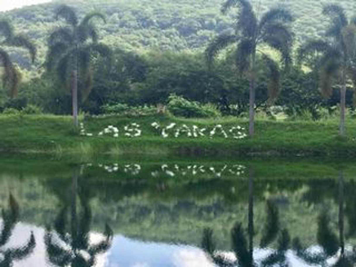 Restaurants Restaurante Las Yacas