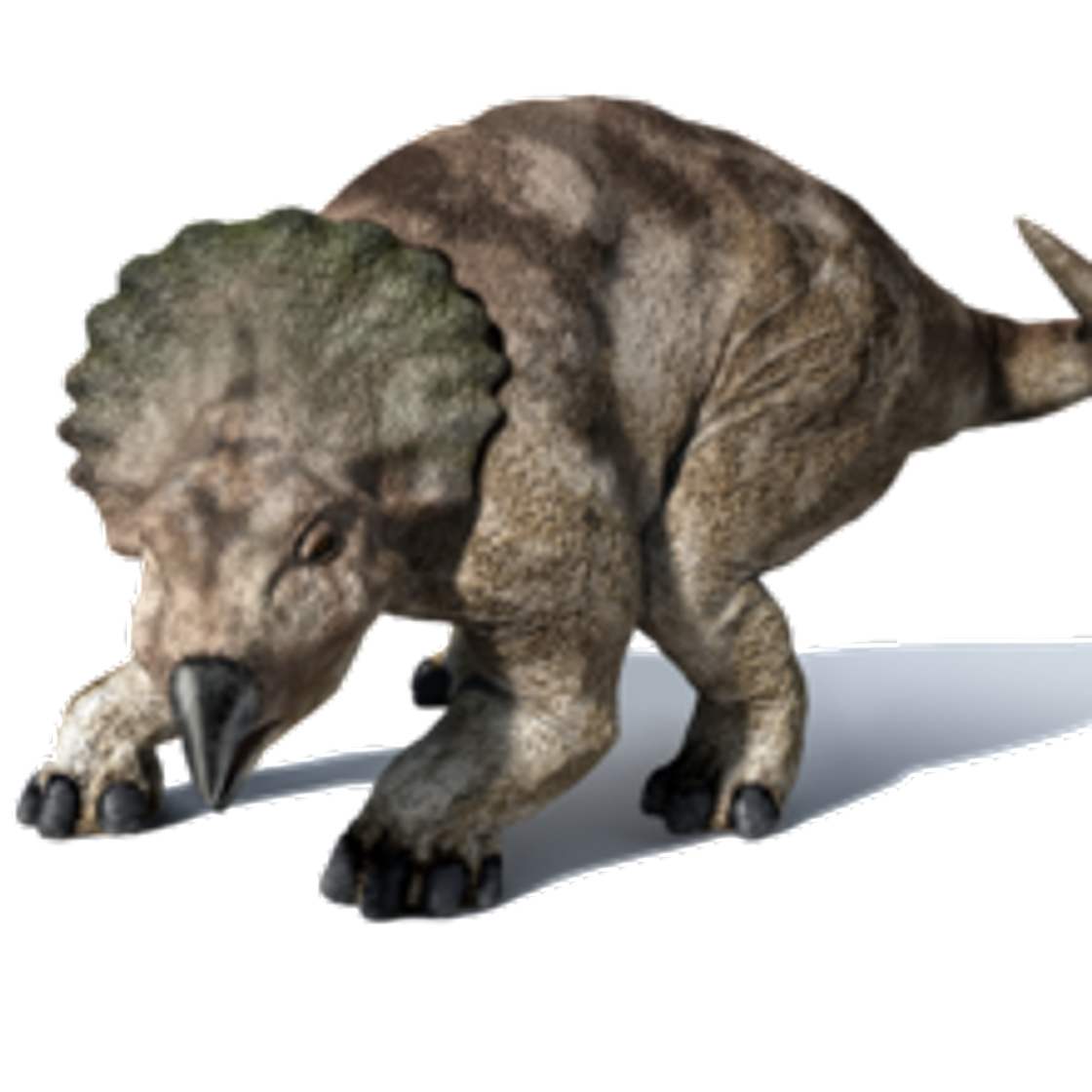 Moda Protoceratops 