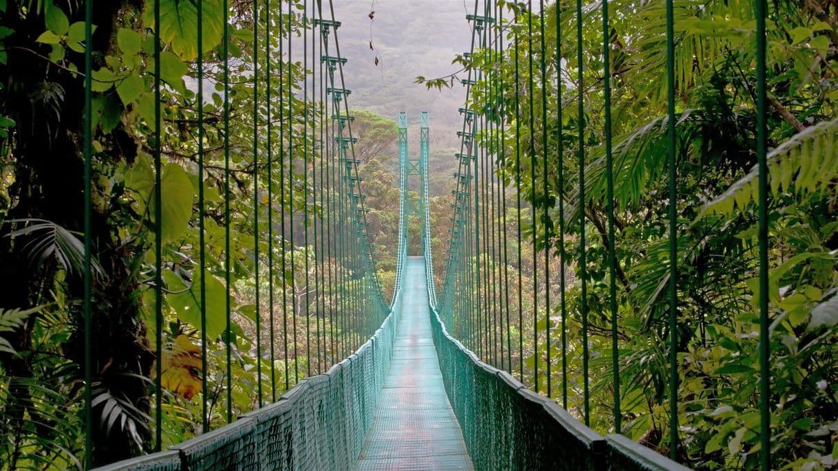 Lugar Monteverde