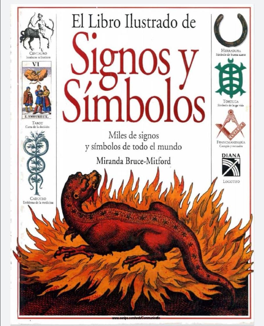 Moda Libro ilustrado de símbolos 