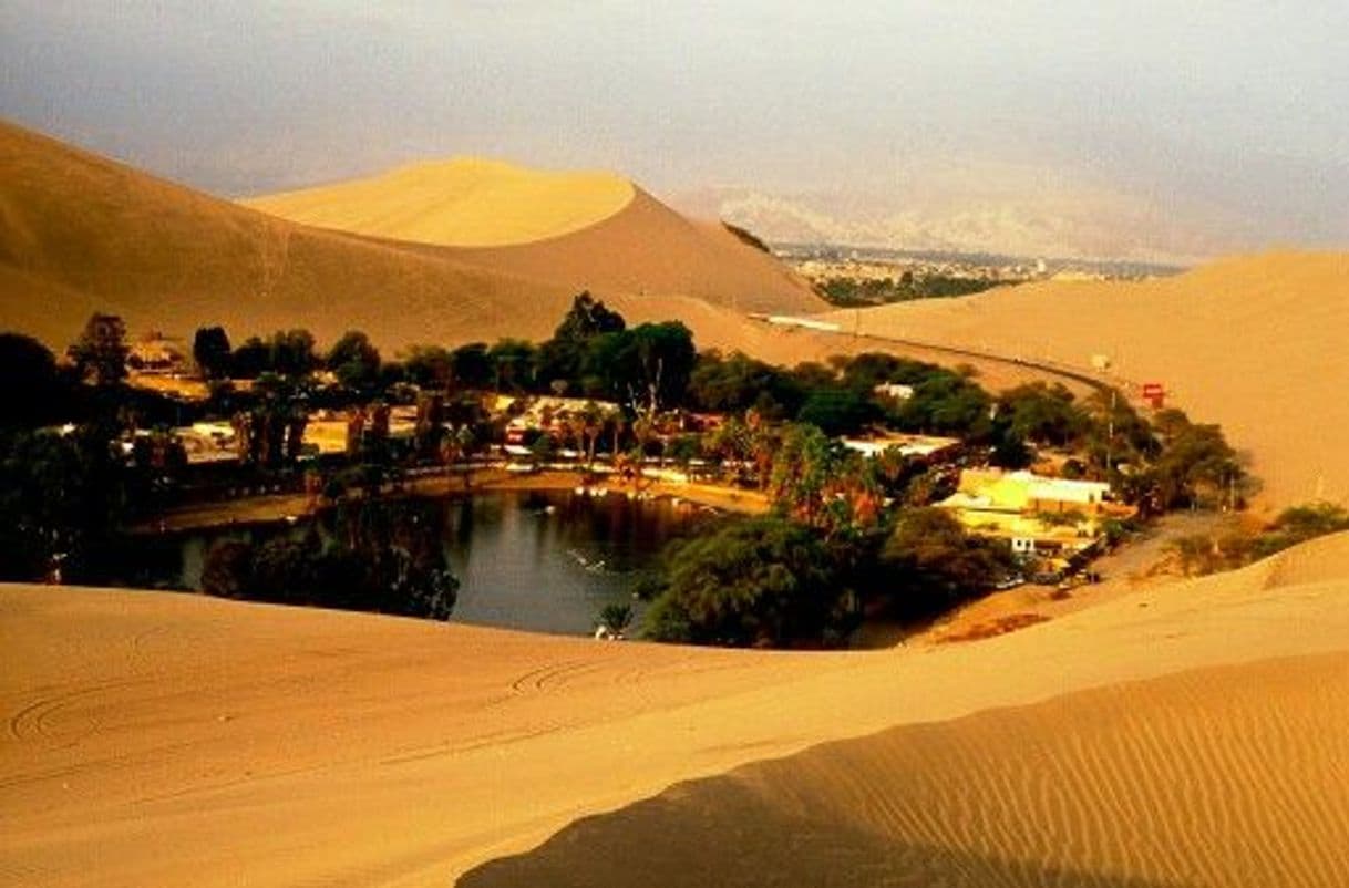 Lugar Laguna de Huacachina