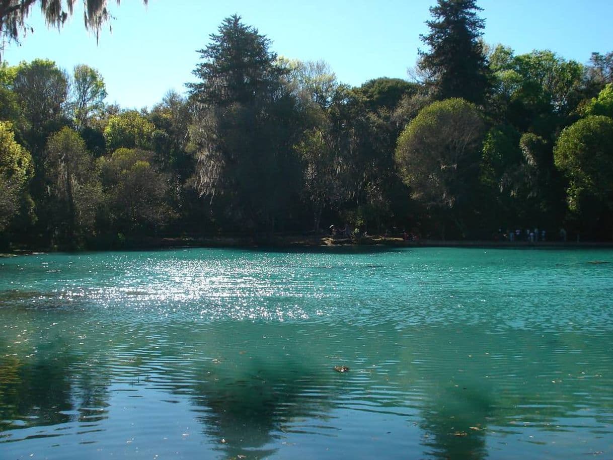 Lugar Cabañas Bosque Las Truchas