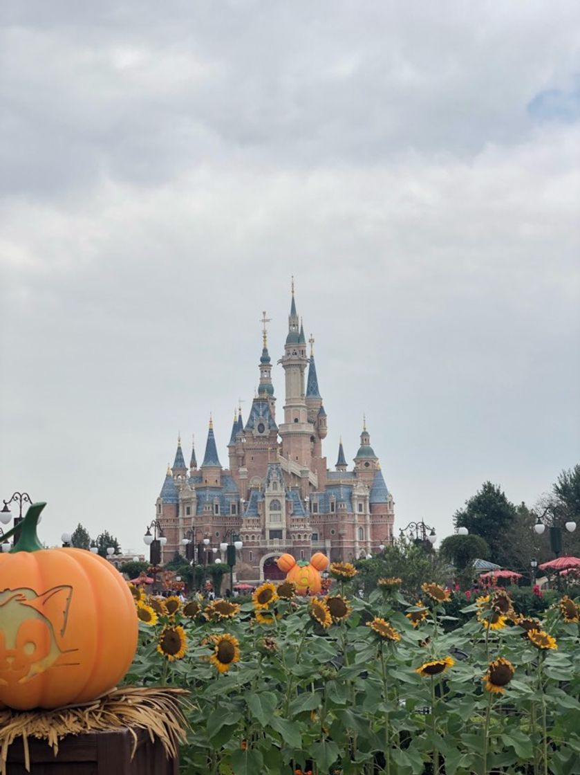 Place Shanghai Disneyland Park