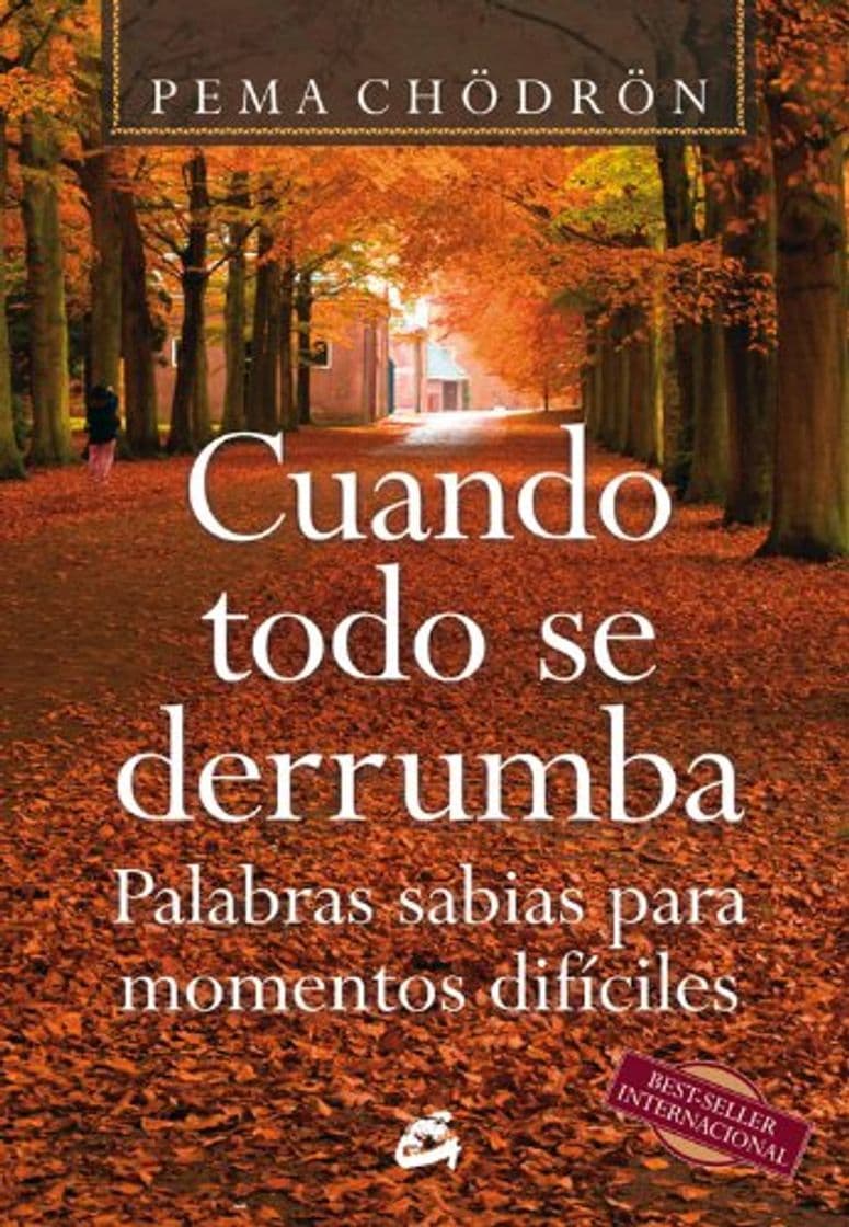 Book Cuando todo se derrumba: Palabras sabias para momentos difíciles