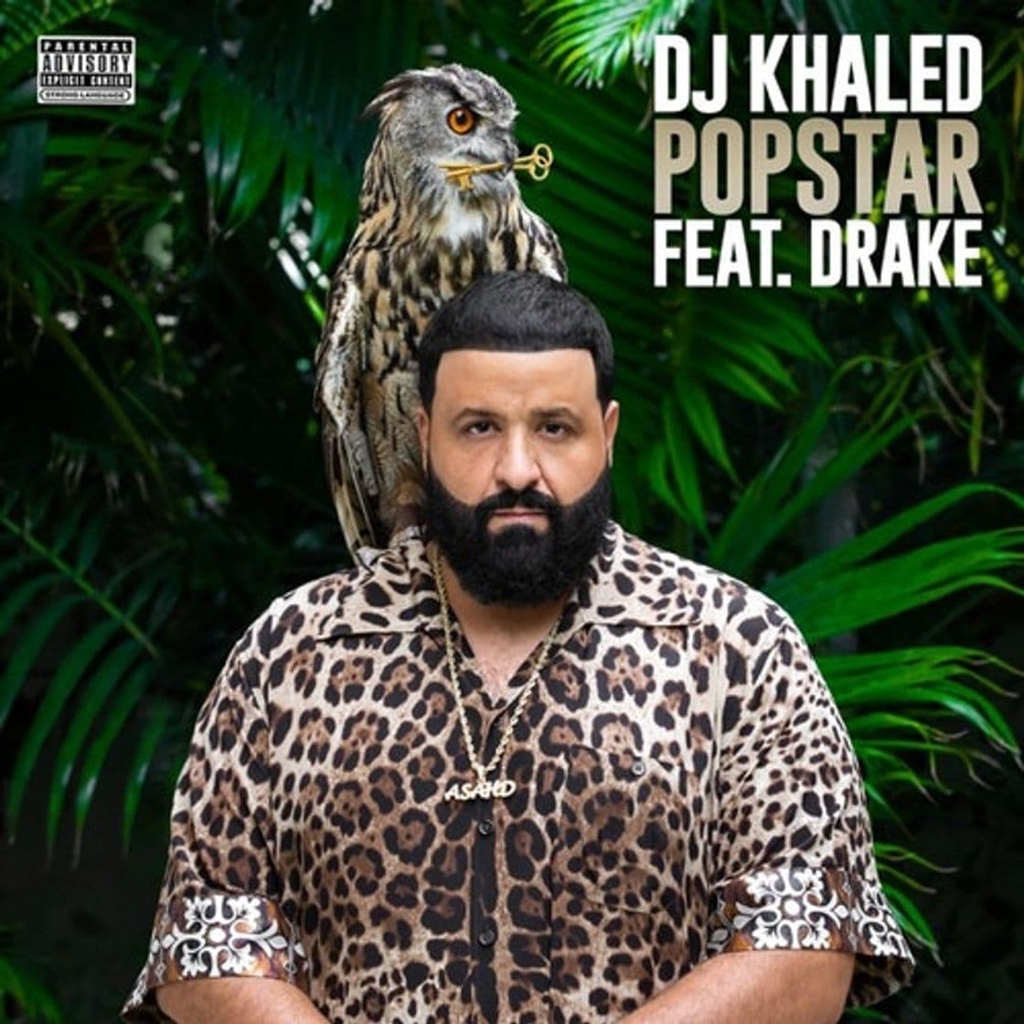 Music DJ Khaled ft. Drake - POPSTAR (Official Music Video - YouTube