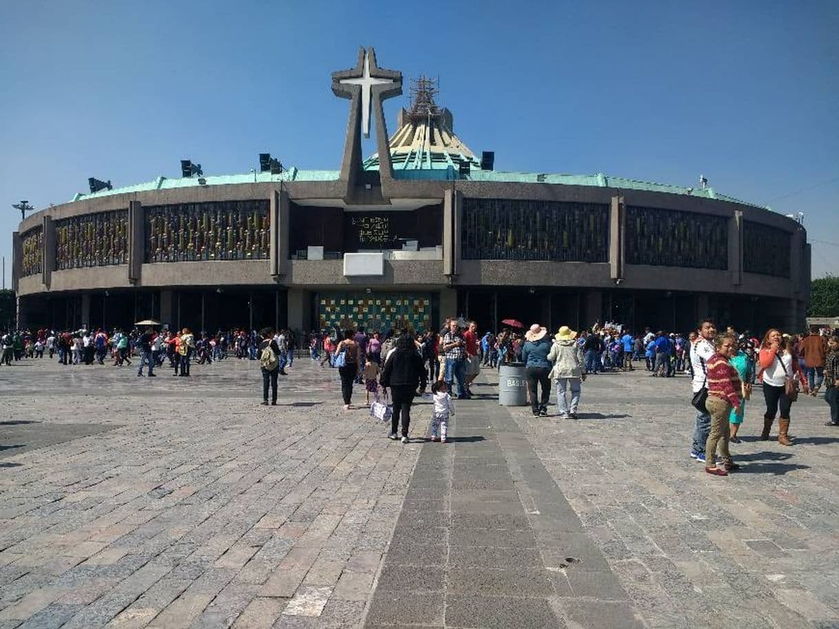 Place Basílica De Guadalupe