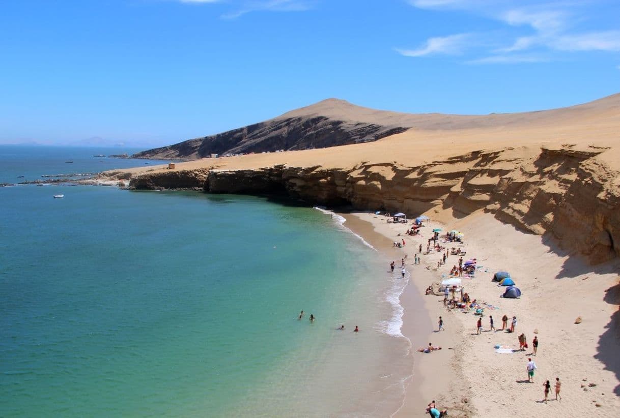 Lugar Reserva Nacional de Paracas