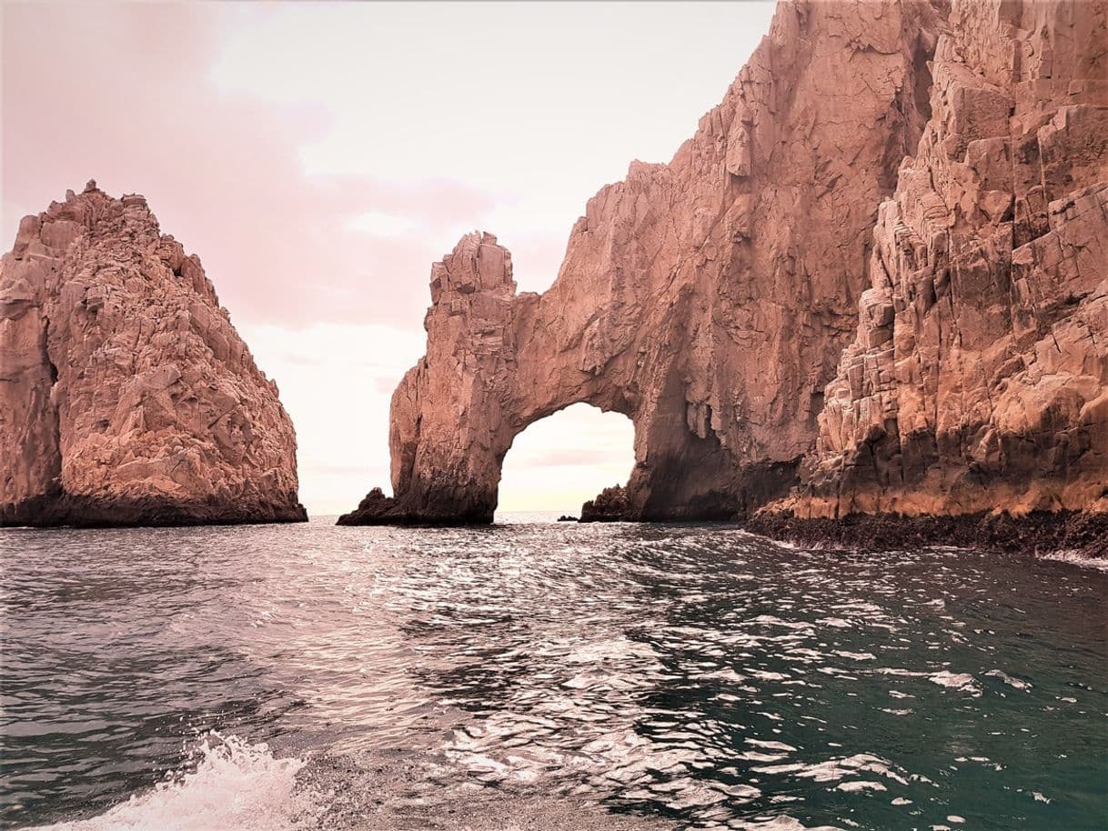 Place Los Cabos