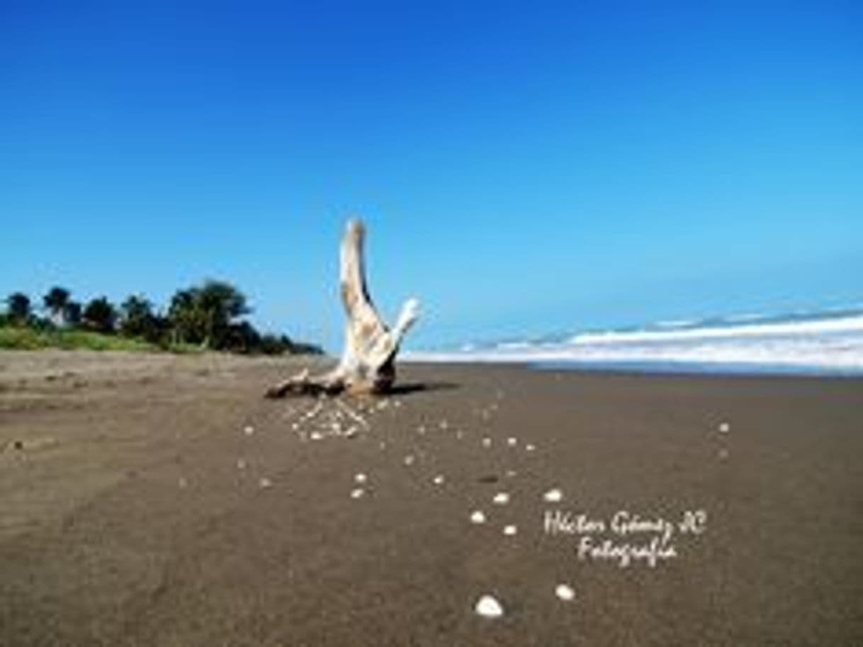 Place Casitas Veracruz