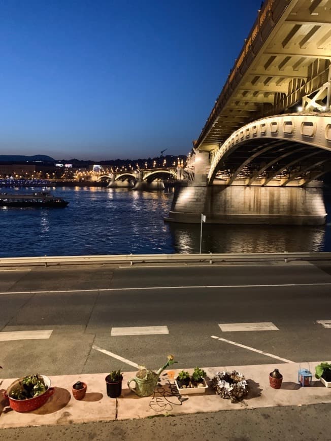 Place Puente de la Libertad