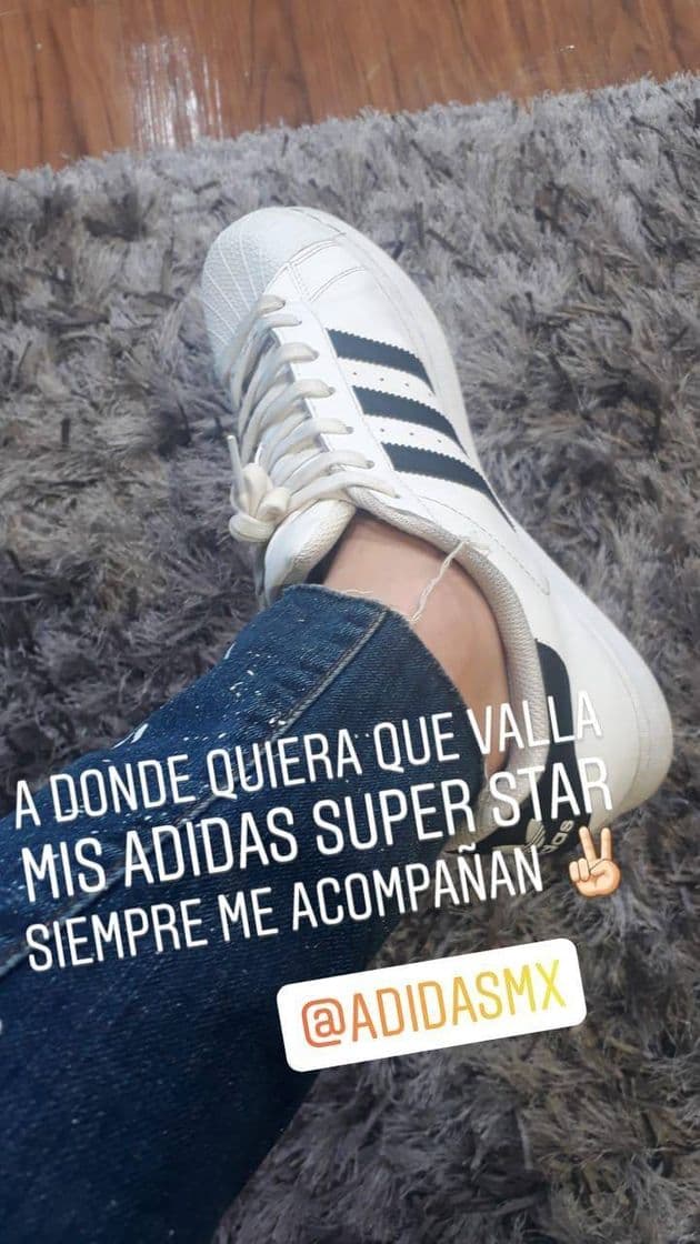 Producto Adidas super star