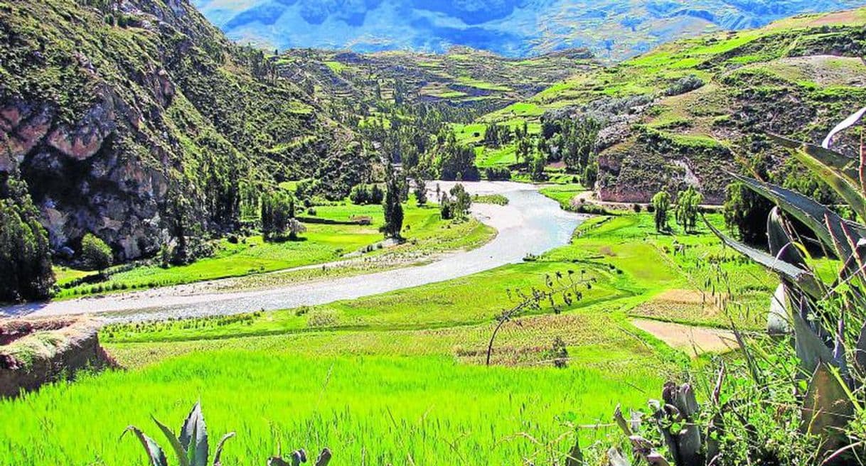 Lugar Valle del Canipaco