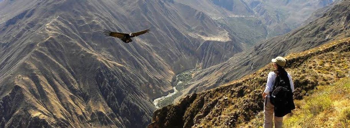 Lugar Cañón del Colca