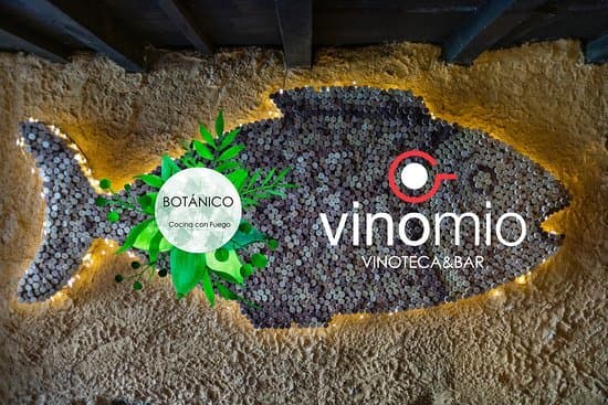 Restaurants Vinomio Bar & Botánico