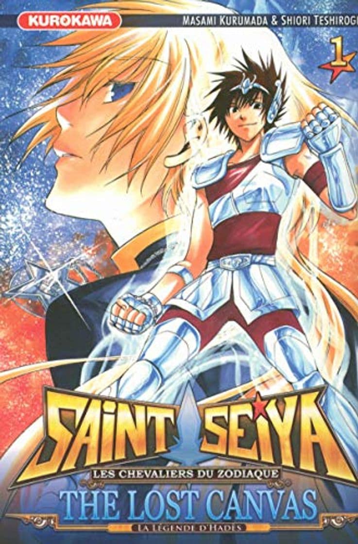 Libro Saint seiya