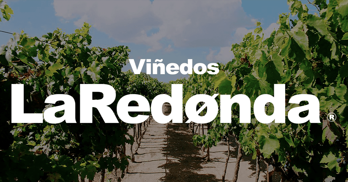 Lugar Viñedos La Redonda