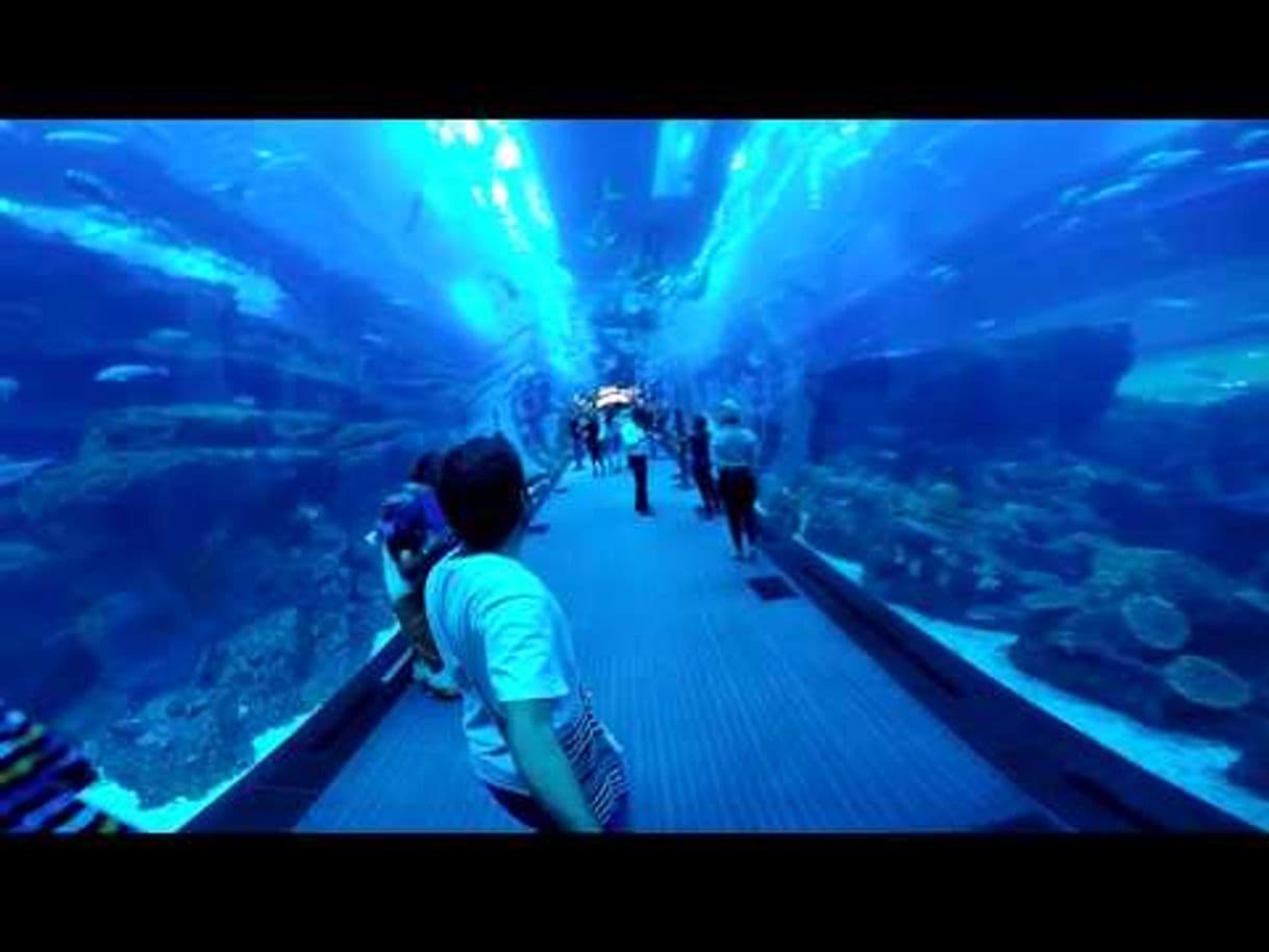 Moda Un hotel 7 estrellas!!!! Burj Al Arab - Dubai #6 - YouTube🌏