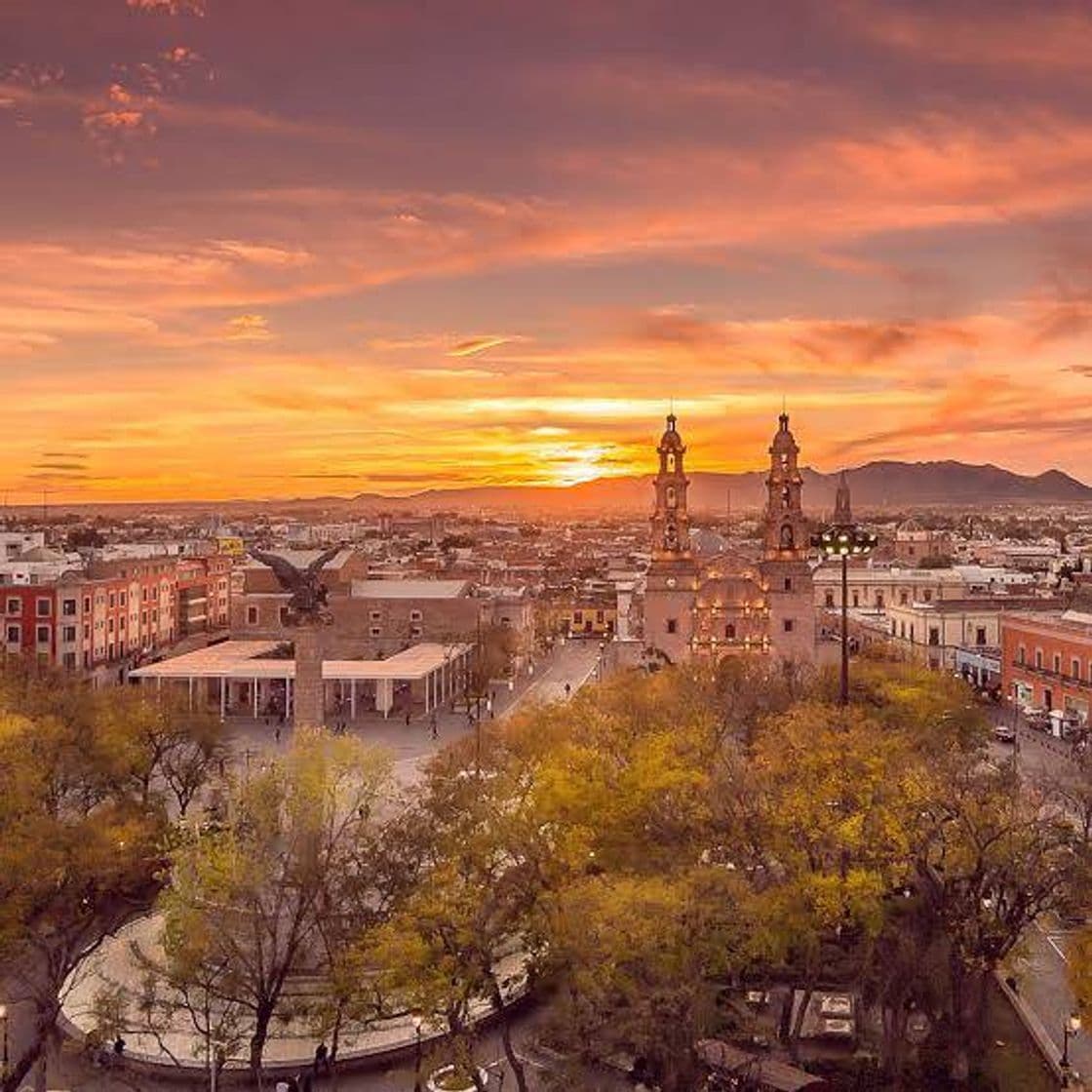 Restaurants Aguascalientes