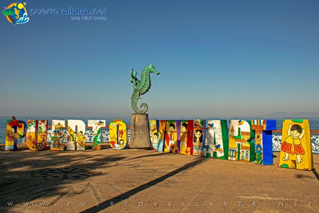 Place Puerto Vallarta