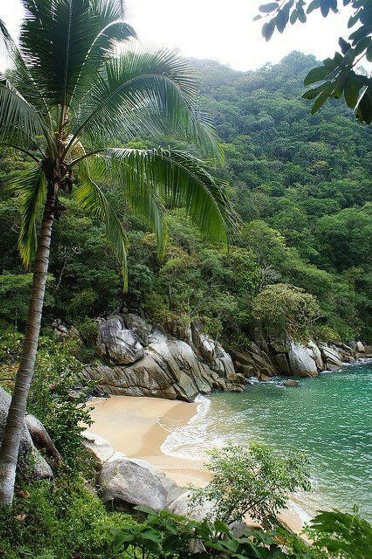 Lugar Boca de Tomatlán