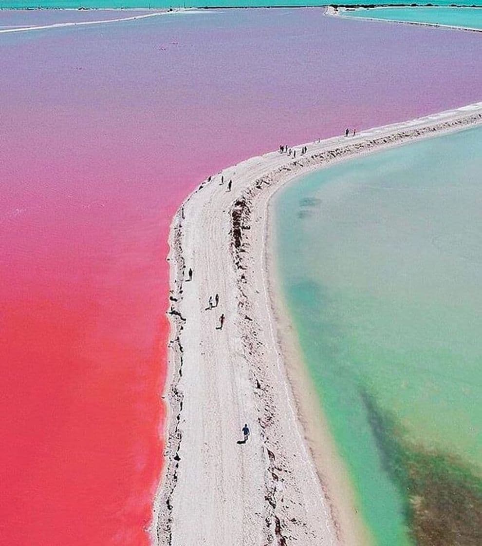 Lugar Las Coloradas Yucatan