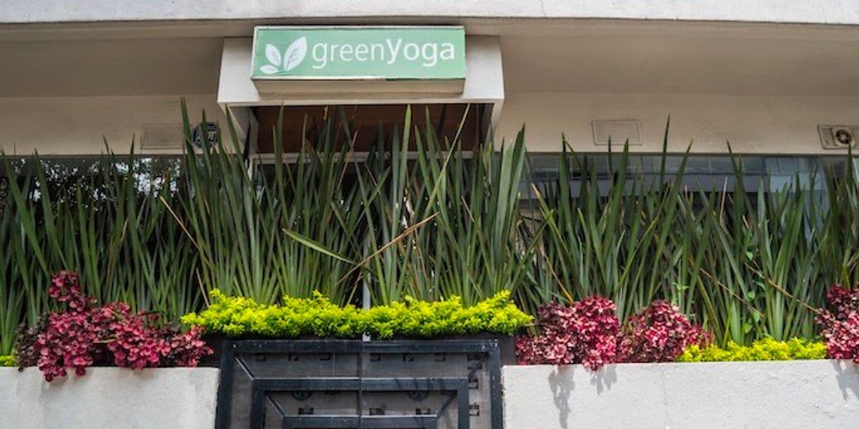 Moda Green Yoga 