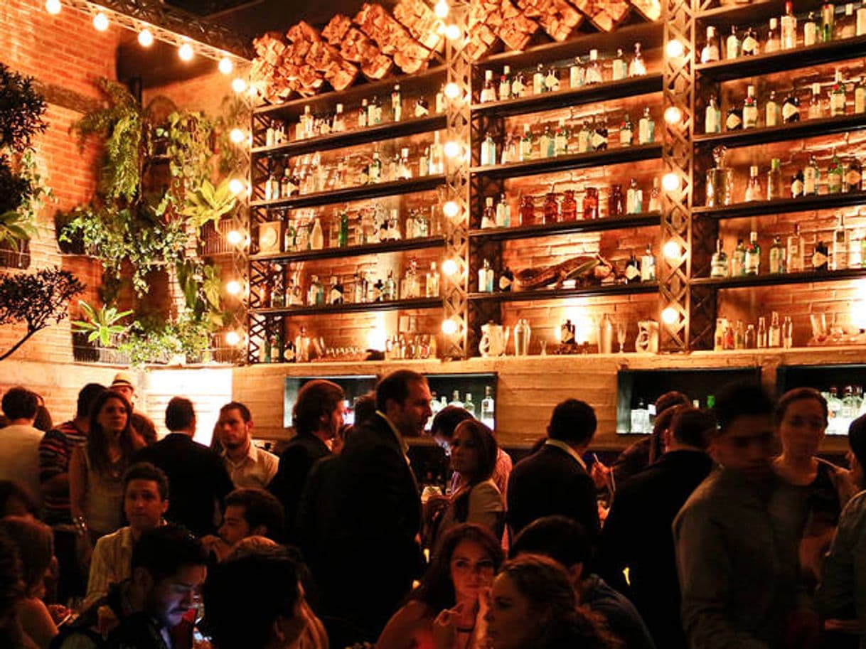 Restaurantes Gin Gin Condesa