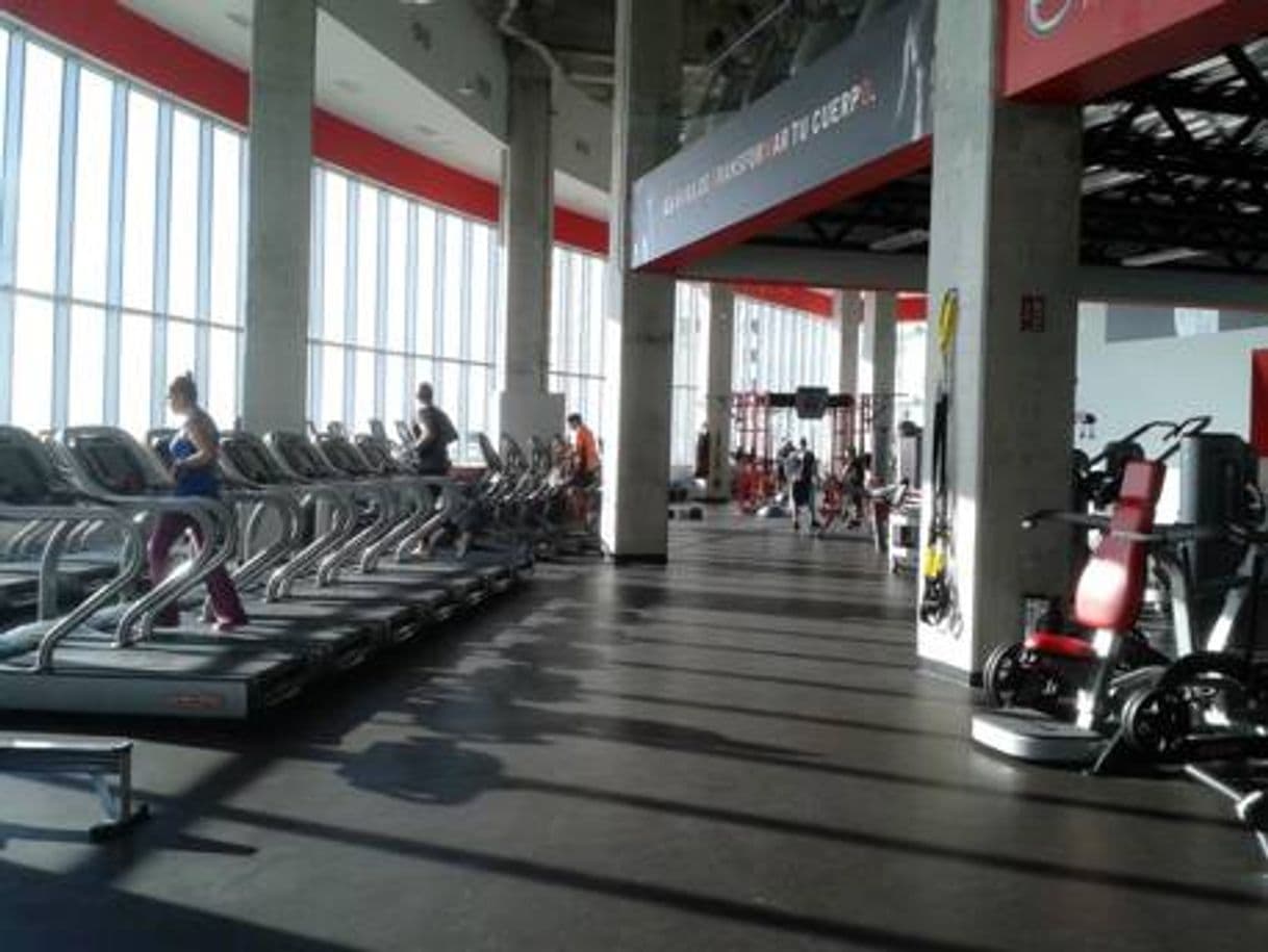 Moda Energy Fitness