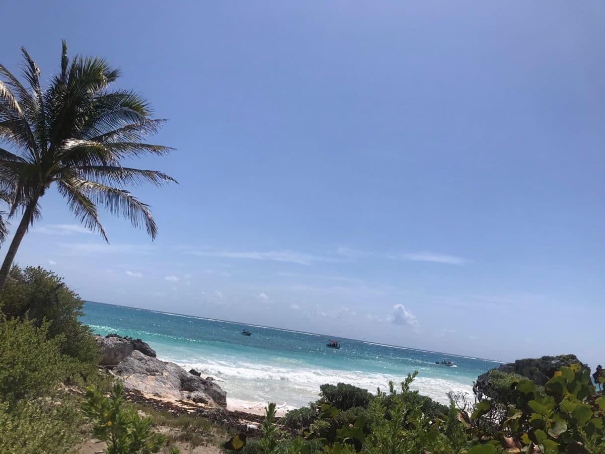 Lugar Tulum