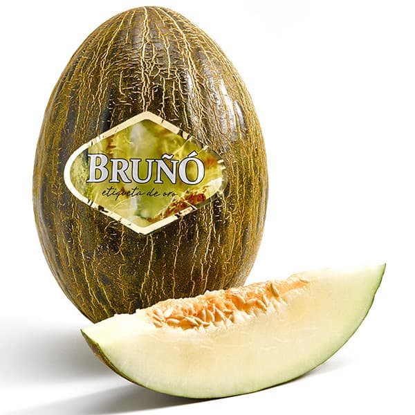 Fashion MELÓN BRUÑO