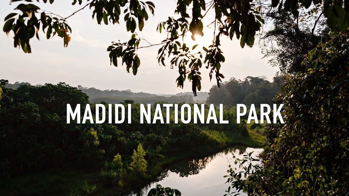 Place Madidi National Park