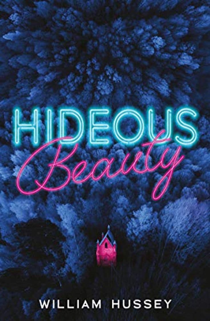 Libro Hideous Beauty