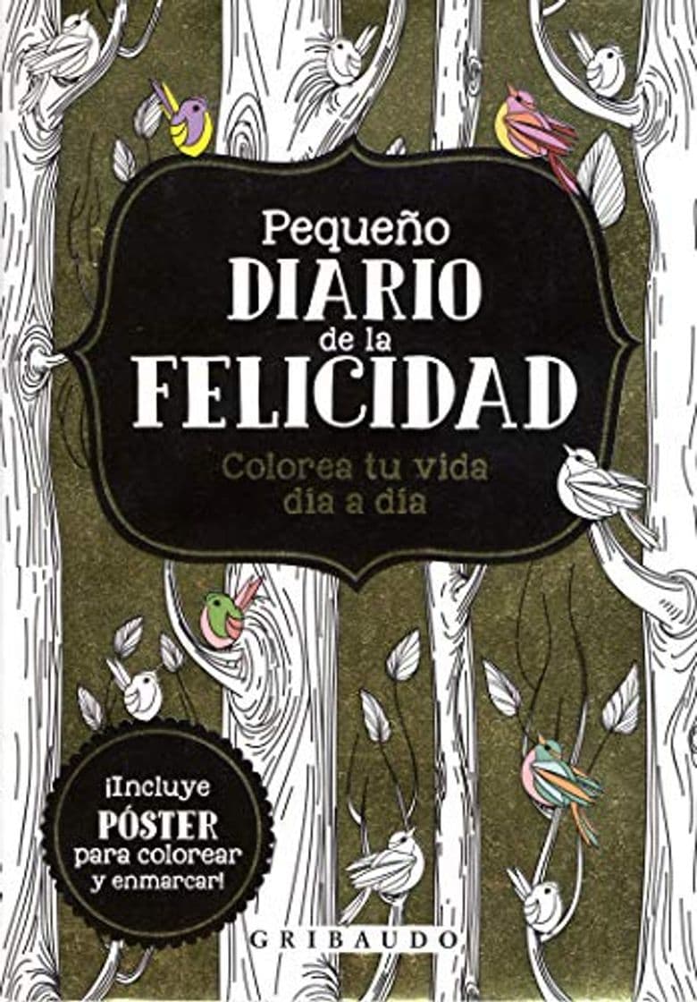 Book Pequeño diario de la felicidad: Colorea tu vida día a día