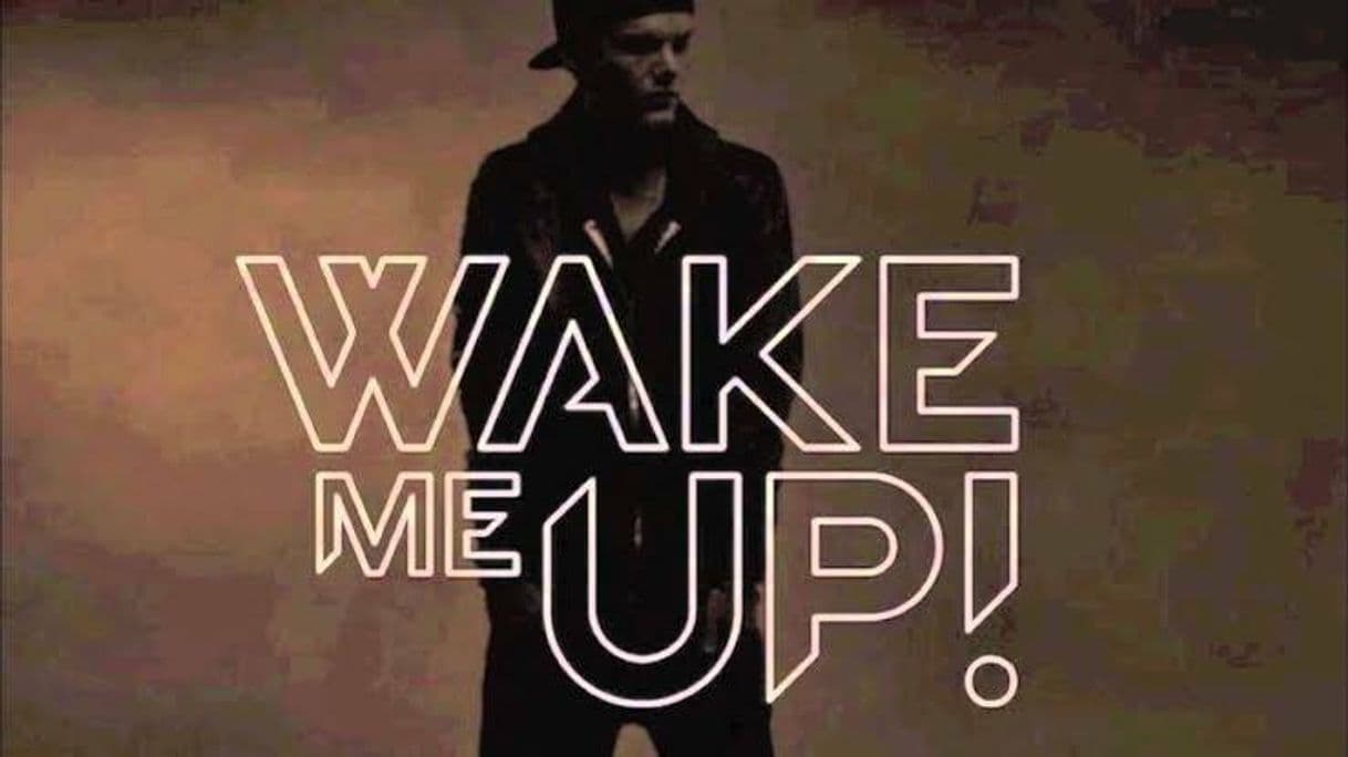 Canción Wake Me Up 