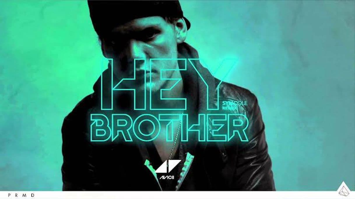 Canción Avicii - Hey Brother