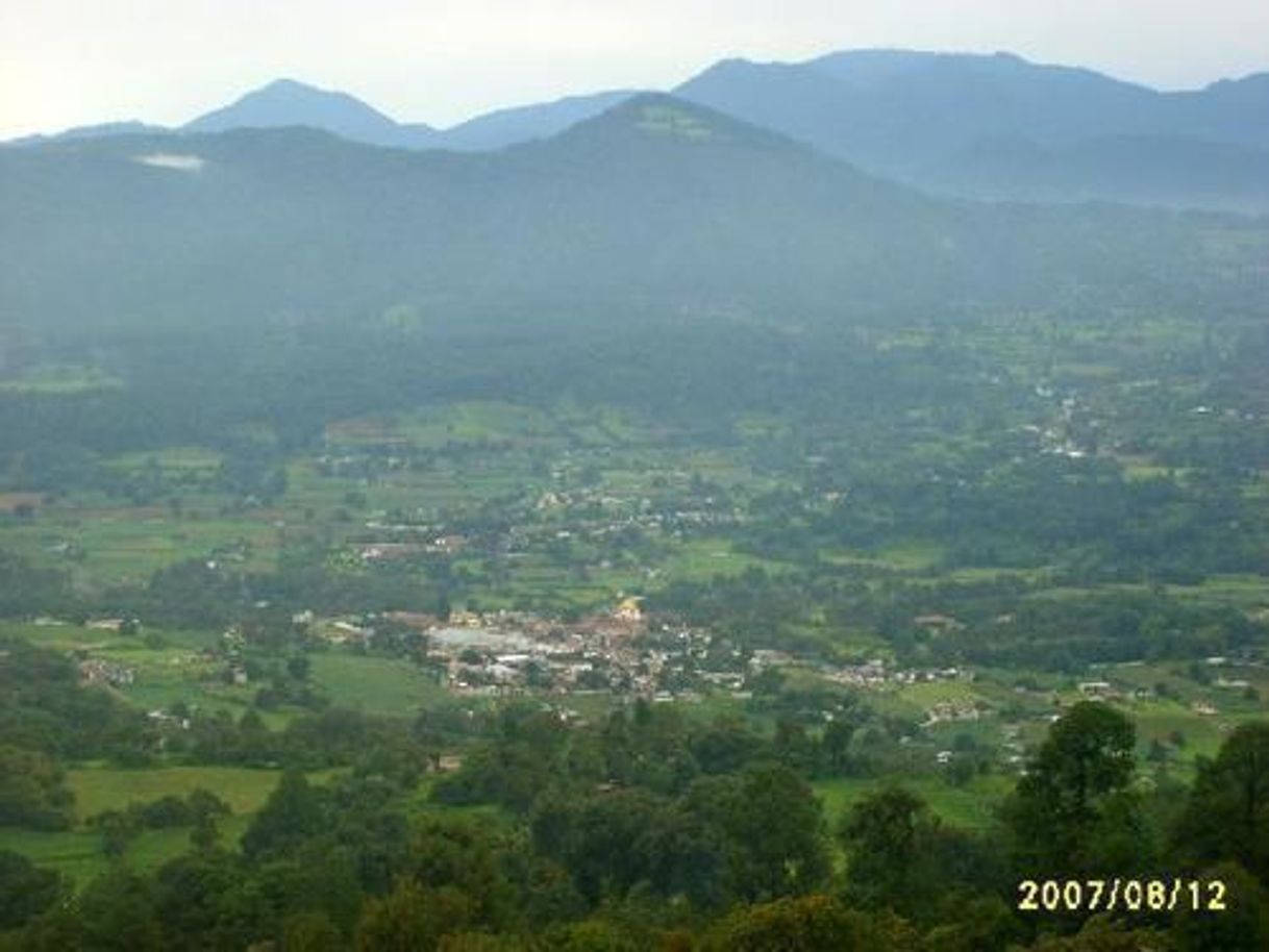 Restaurantes Donato Guerra