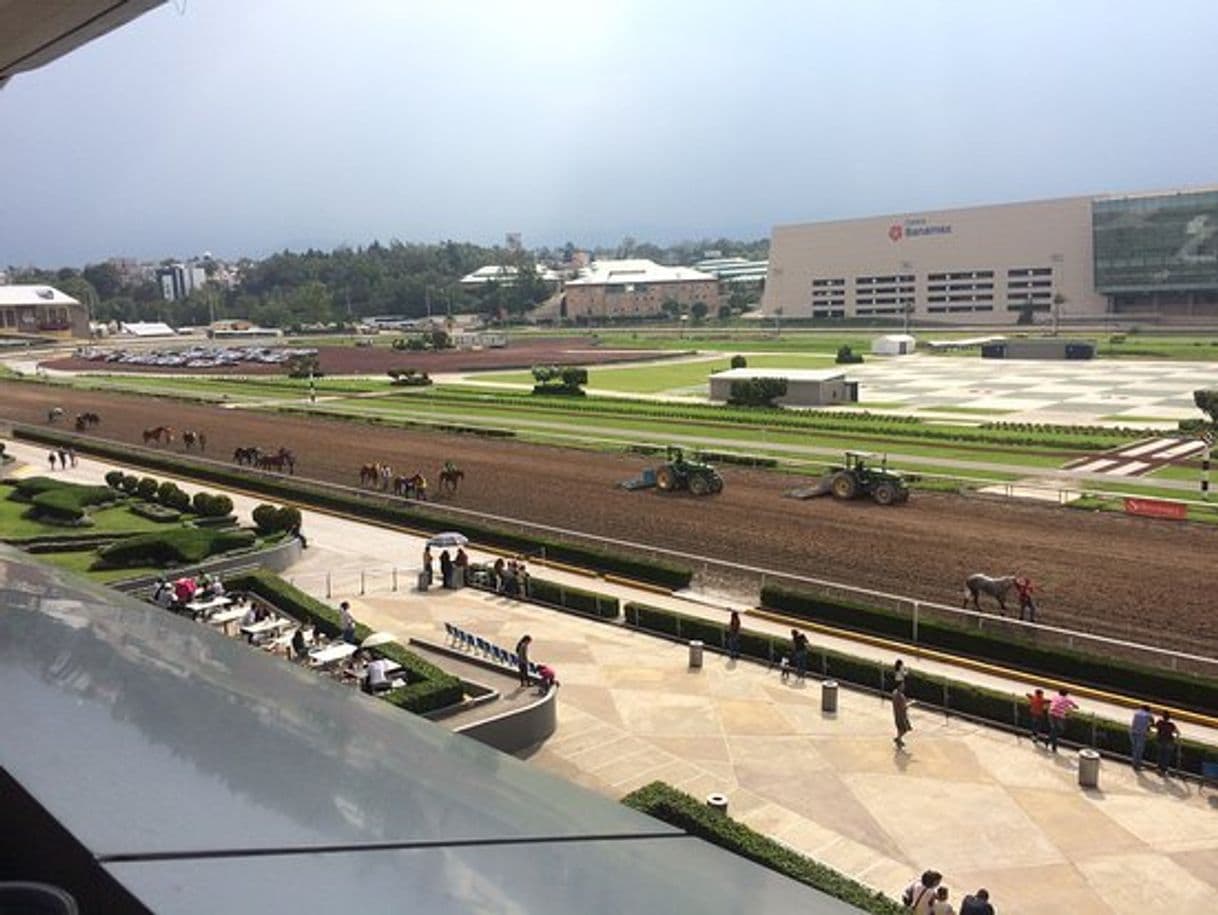 Lugar Hipódromo de Las Américas