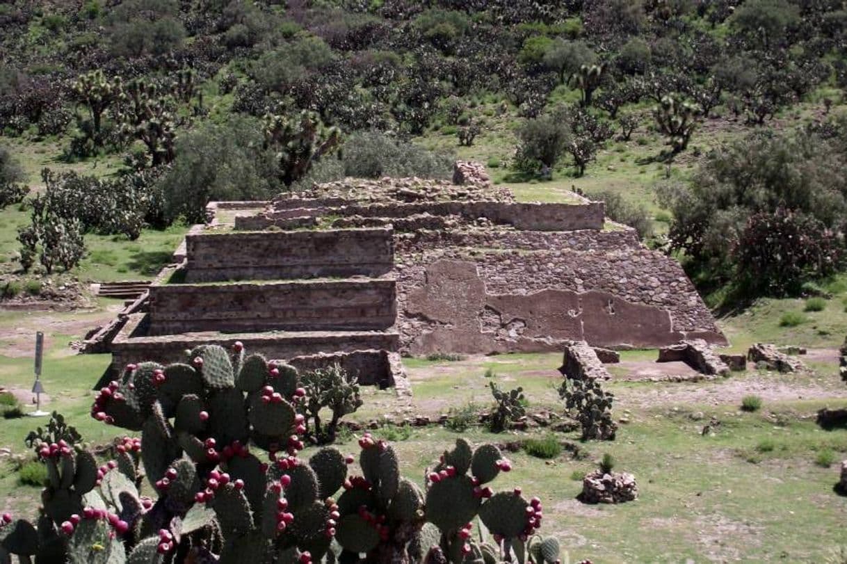 Place Zona Arqueológica Xihuingo