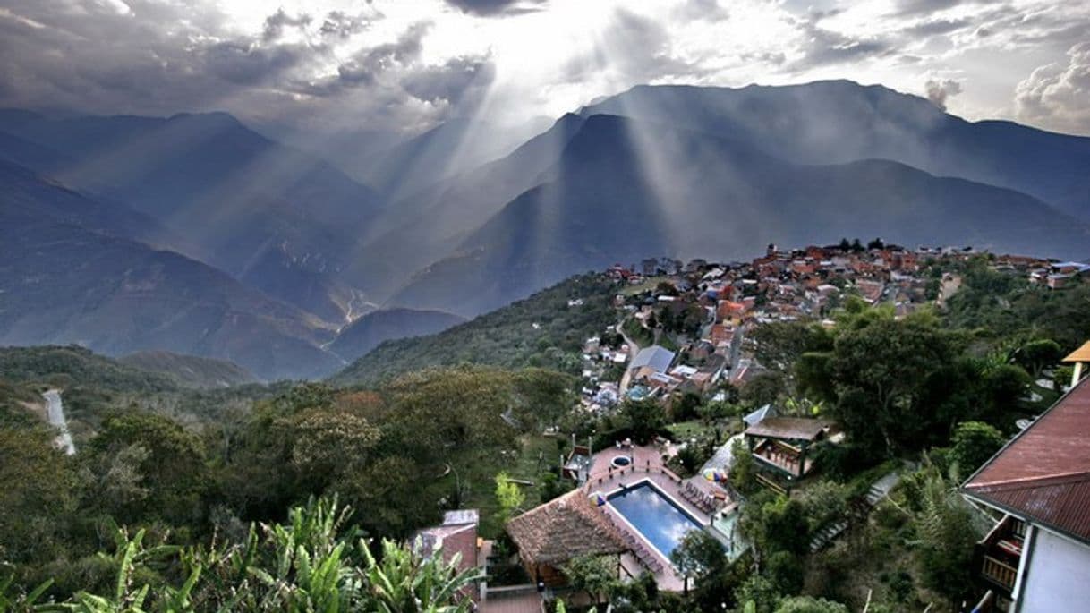 Place Yungas