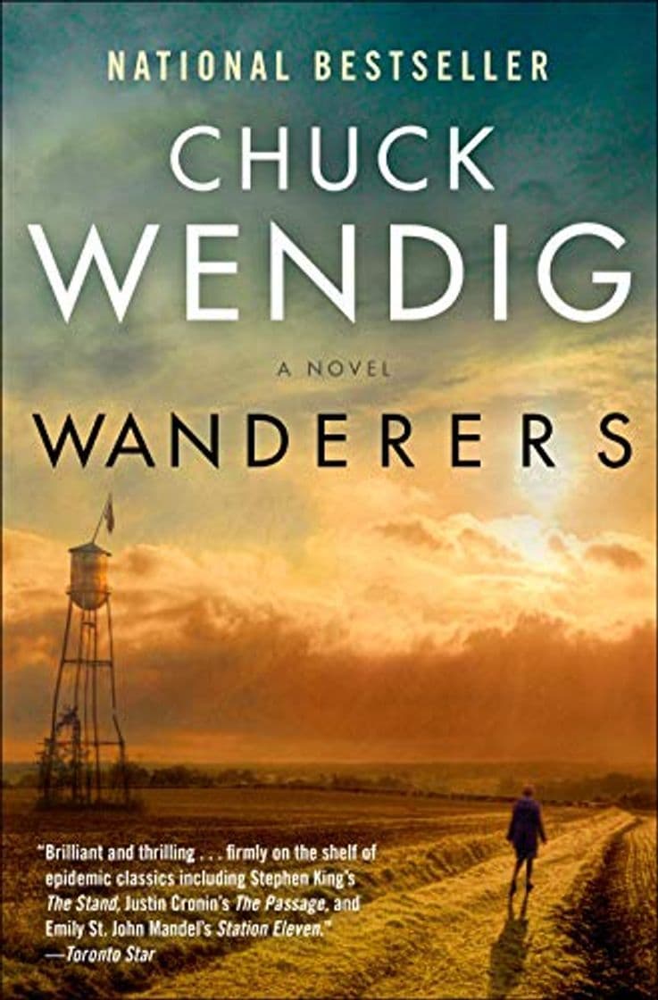 Libro Wanderers: A Novel