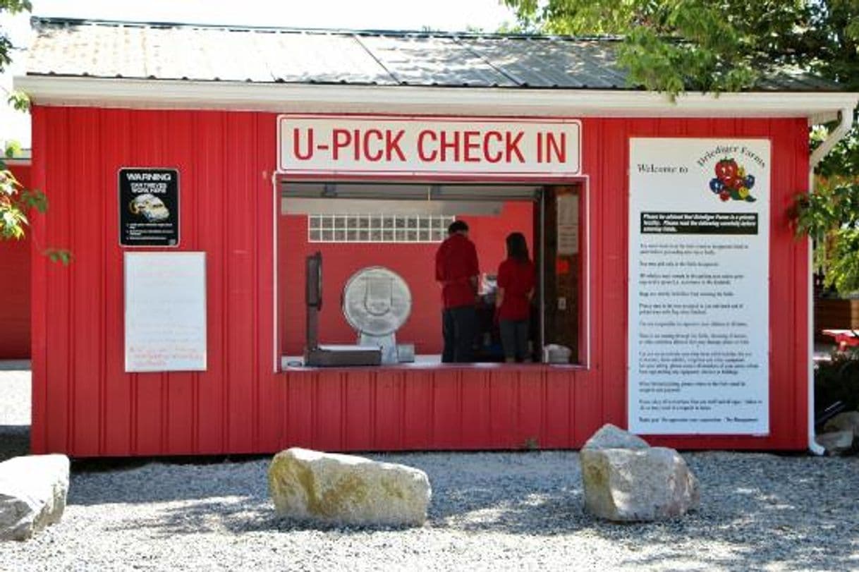 Lugar Driediger Farms Market