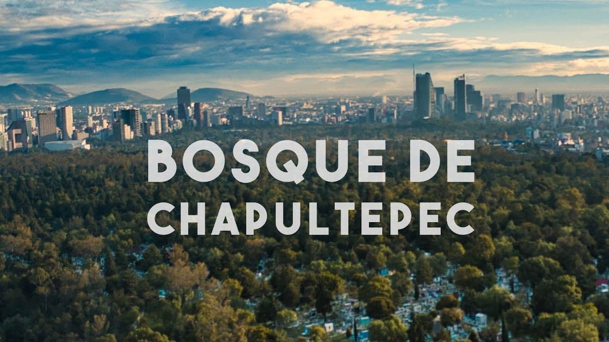 Lugar Bosque de Chapultepec