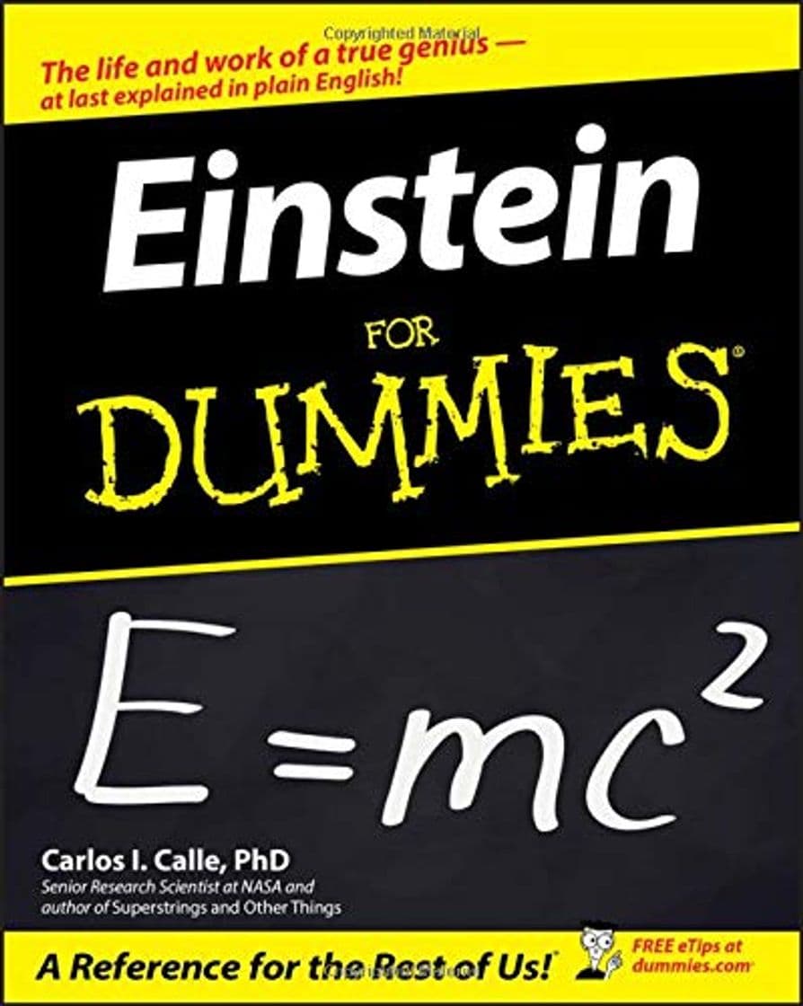 Book Einstein For Dummies