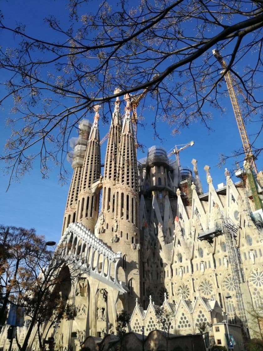 Lugar Basílica Sagrada Familia