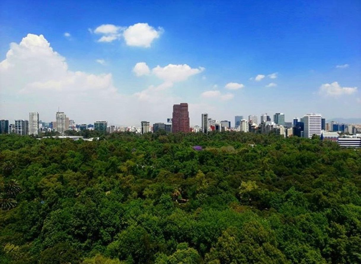 Lugar Bosque de Chapultepec